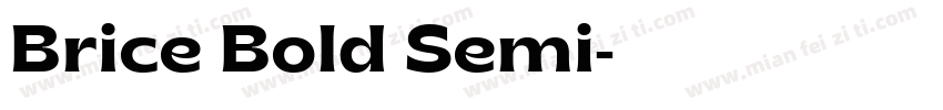 Brice Bold Semi字体转换